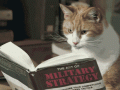 tumblr_lib2wyyQqJ1qh01nyo1_500.gif